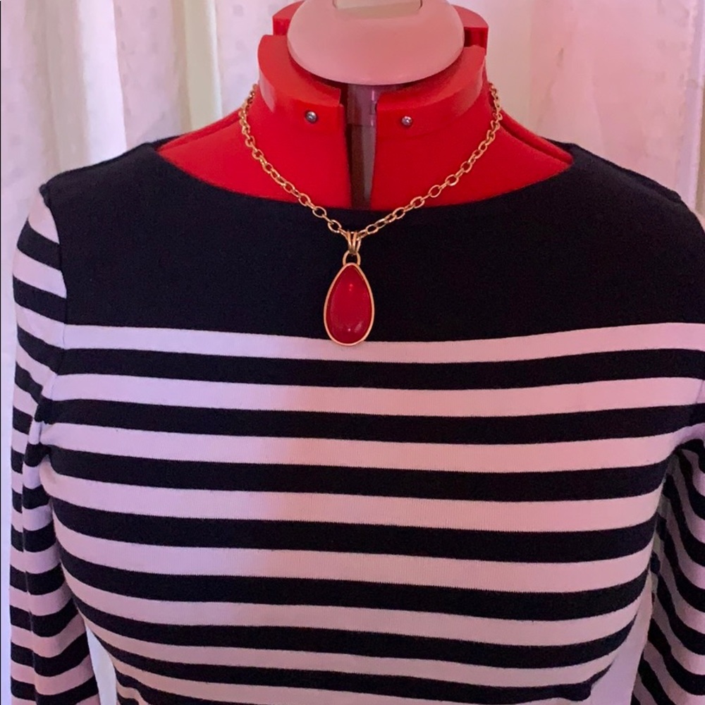 Charming Charlie Necklace